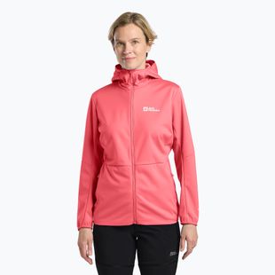 Women's softshell jacket Jack Wolfskin Feldberg Hoody sunset coral