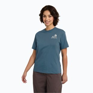 Women's T-shirt Jack Wolfskin Cadena tent aluminium blue