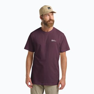 Men's T-shirt Jack Wolfskin Essential amaranth