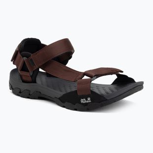Men's sandals Jack Wolfskin Ridge dark mahogany