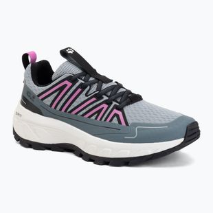 Women's hiking boots Jack Wolfskin Wild Hike Low ash