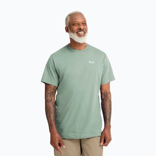 Men's T-shirt Jack Wolfskin Essential green zinnia