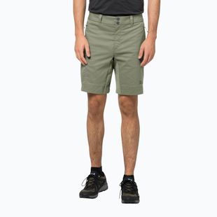 Jack Wolfskin Activate Tour men's trekking shorts green 1507441