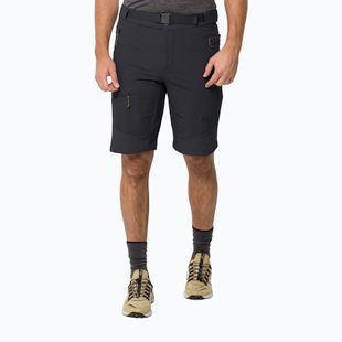 Jack Wolfskin men's trekking shorts Ziegspitz grey 1508071_6350_052