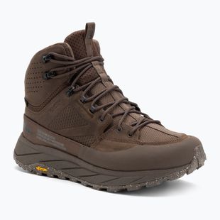 Men's trekking boots Jack Wolfskin Terraquest Texapore Mid bear