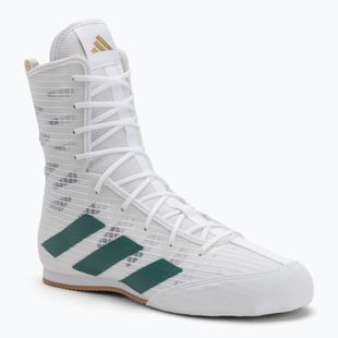 adidas Box Hog 4 cloud white/collegiate green/core black boxing shoes