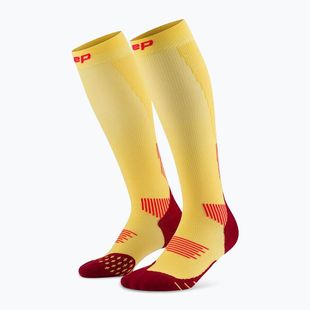 CEP Run Tall 5.0 women's compression socks marigold/burgundy