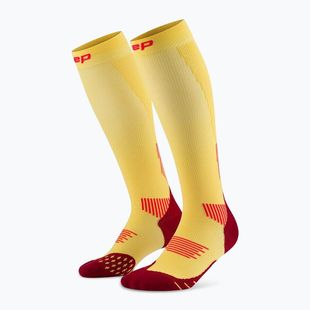 CEP Run Tall 5.0 men's compression socks marigold/burgundy