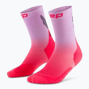 CEP men's compression socks Run Edt. Gradient Mid Cut Compression 5.0 pink/lilac fade