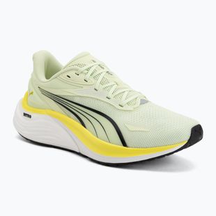 Men's running shoes PUMA Electrify Nitro 4 green