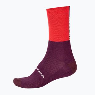 Endura Baa Baa Merino cycling socks Winter pomegranate