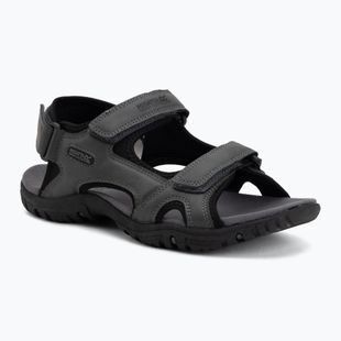 Men's sandals REGATTA Haris briar