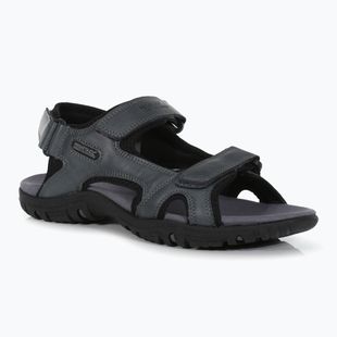 Men's sandals REGATTA Haris briar