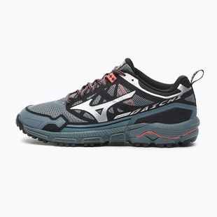 Men's shoes Mizuno Wave Daichi LS stormy weather/silver