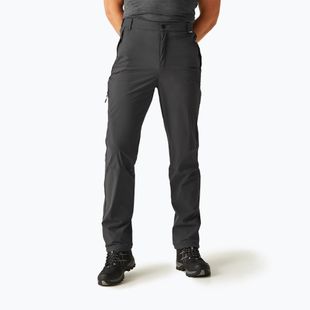 Men's trekking trousers REGATTA Travel Light Packaway ash