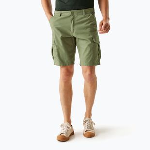 Men's REGATTA Ruwan fauna trekking shorts