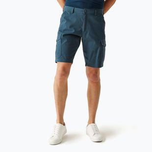 Men's REGATTA Ruwan midnight trekking shorts