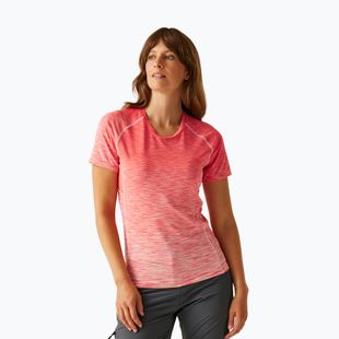 Women's REGATTA Laxley II peach bloom ombre T-shirt