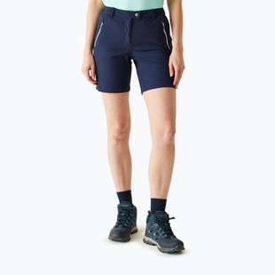 Women's trekking shorts REGATTA Mountain II navy