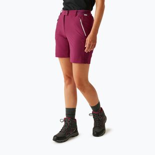 Women's trekking shorts REGATTA Mountain II beaujolais