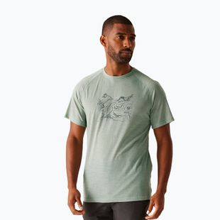 Men's trekking T-shirt REGATTA Escade glacier