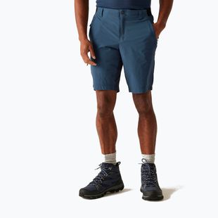 Men's trekking shorts REGATTA Eldes moonlight denim/navy