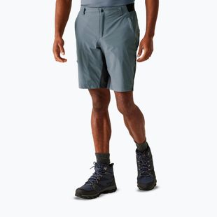 Men's trekking shorts REGATTA Eldes stormy weather/ash