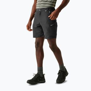 Men's trekking shorts REGATTA Leesville III ash