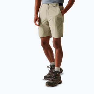 Men's trekking shorts REGATTA Leesville III golden sand