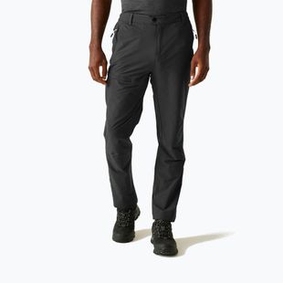 Men's trekking trousers REGATTA Highton II ash