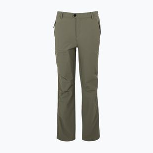 Men's trekking trousers REGATTA Highton II treetop