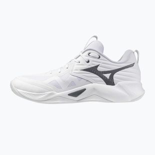 Volleyball shoes Mizuno Wave Momentum Pro white/metallic gray/black