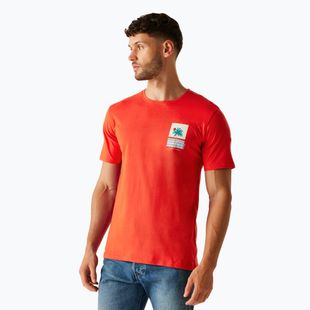 Men's T-shirt Regatta ClineIX poppy red cool summer