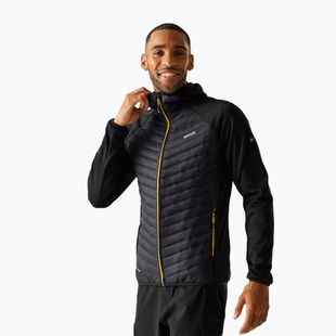 Men's hybrid jacket REGATTA Andreson Hybrid black/ash/gold flake