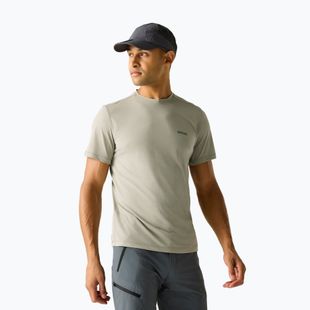 Men's trekking T-shirt REGATTA Mindoi Anti Insect abbeystone