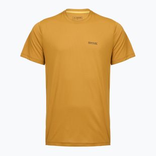 Men's trekking T-shirt REGATTA Mindoi Anti Insect wood brown