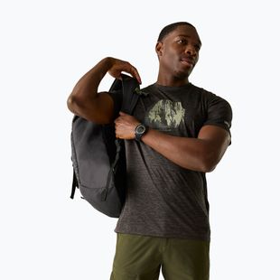 Men's trekking T-shirt REGATTA Fingal ash marl