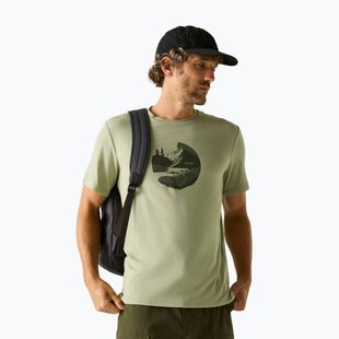 Men's trekking T-shirt REGATTA Fingal Stretch light sage
