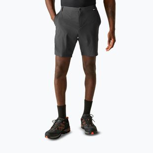 Men's trekking shorts REGATTA Anti Insect Travel Light ash
