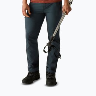 Men's trekking trousers REGATTA Highton II night sky