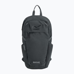 Urban backpack REGATTA Everyday Prism 20 l ash