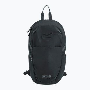 Urban backpack REGATTA Everyday Prism 15 l ash