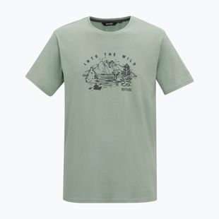 Men's T-shirt Regatta ClineIX glacier wild scene