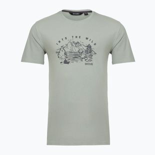 Men's T-shirt Regatta ClineIX glacier wild scene