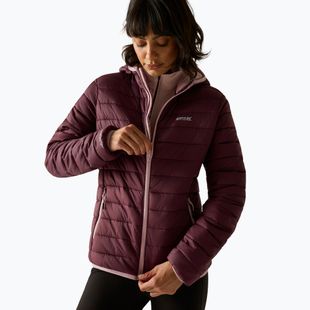 Women's down jacket Regatta Hooded Marizion fig