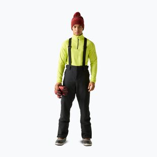 Men's ski trousers Dare 2b Achieve III Pant black
