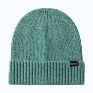 Women's winter hat REGATTA Ribbed Basic dark forest green