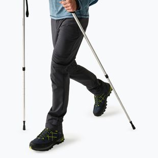 Men's softshell trousers REGATTA Geo Softshell ash