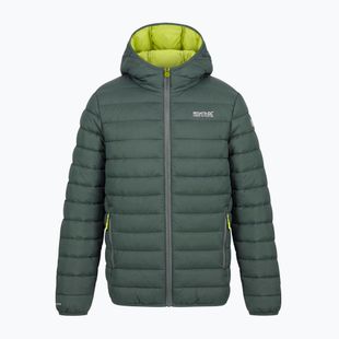 Children's insulated jacket REGATTA Lofthouse dark forest green/wild lime