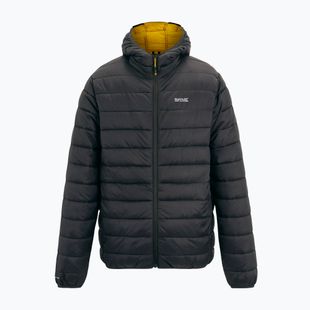 Men's down jacket Regatta Hooded Marizion ash/sunset